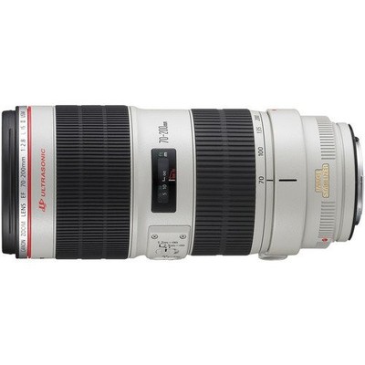Canon EF200mm F2.8L II USM 美品 EF200mm F2.8L II USM 中古価格比較 - 価格.com