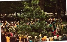 Saratoga Open Paddock Race Track Horses Unposted C1960 Vintage Postcard