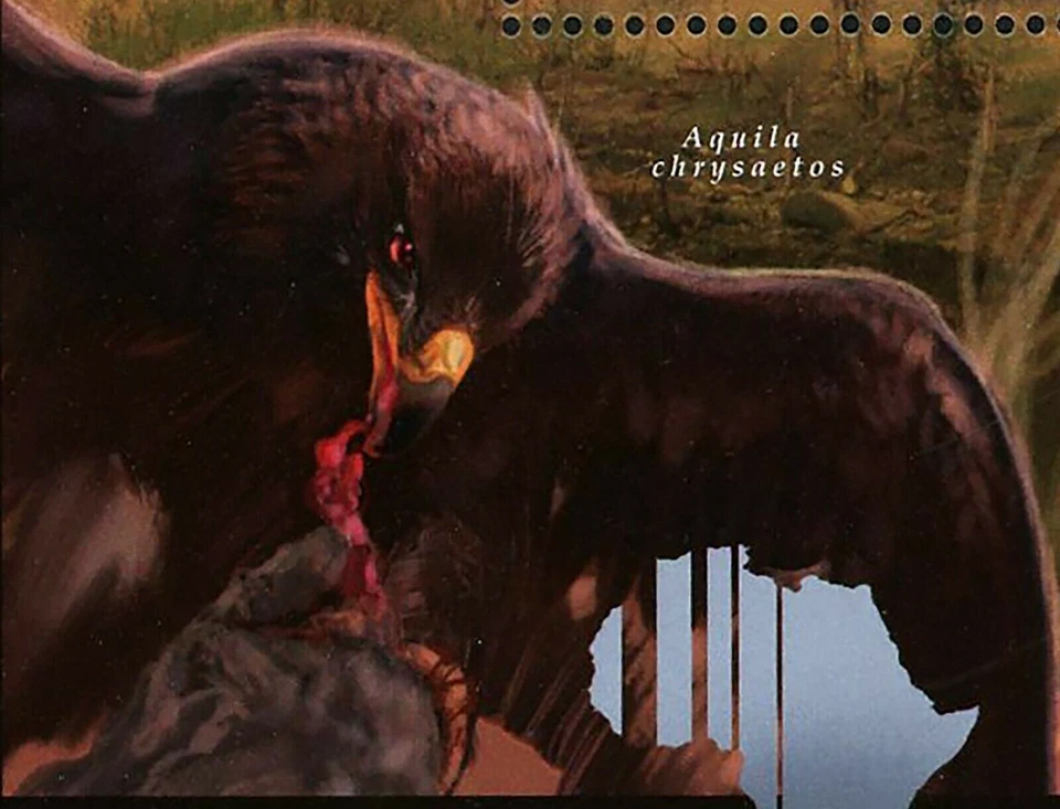 Sello de pájaro águila Aquila Chrysaetos fauna africana S/S MNH #9192 / Bl.2081 Foto 4 de 4