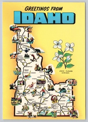 Greetings From Idaho Map ID Postcard Syringa State Flower John Hinde Curteich