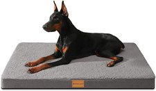 Orthopedic XL Dog Bed Large Sized Dog 42''X28'', Soft Waterproof Egg Crate Foam
