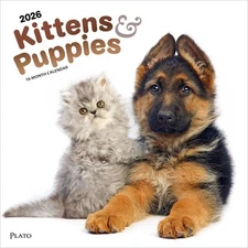 Kittens & Puppies | 2026 12x24" (Hanging) Monthly Square Wall Calendar