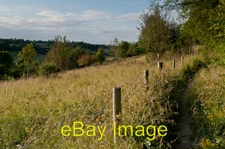 Photo 6x4 Saltbox Hill LNR 3 c2012