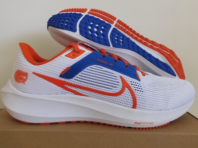 Nike Zoom Pegasus 40 Florida ''Florida Gators'' White-Orange Sz 10.5 [DZ5998-100]