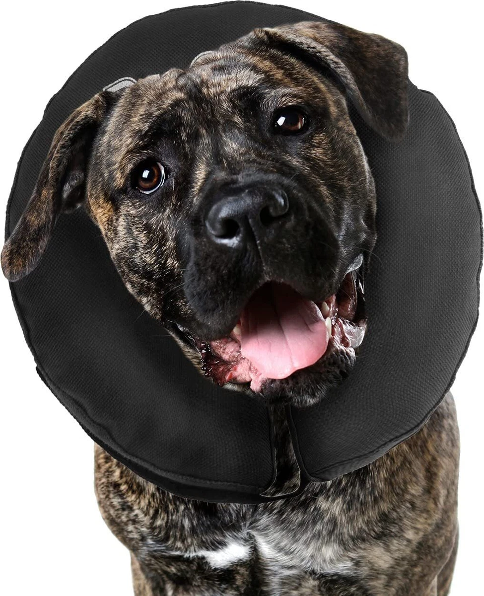 Inflatable recovery top collar for dogs