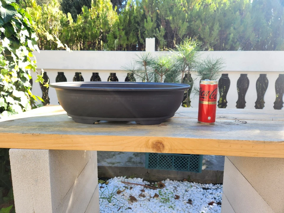 Vaso Bonsai Ovale in plastica dura 51x38x14cm. Spedizione espressa. - Immagine 3 di 4