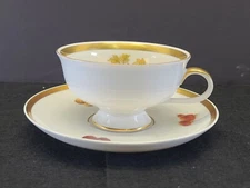 Vintage Porcelain China Bavaria Jaeger Harvest Tea Coffee Cup Plate Saucer Fruit