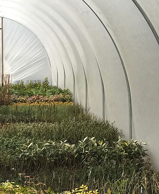 BRANDNEU 14 FUSS X 30 FUSS GERADE SCHWERLAST POLYTUNNEL-KIT