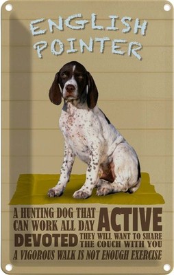 Blechschild 18x12 cm English Pointer Hund active Tier Haustier Deko Geschenk Met