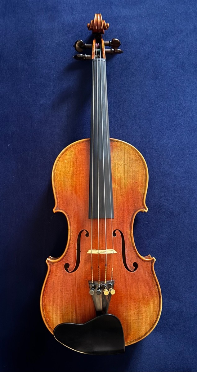 Violin 4/4 Shar Collector's Series: copy of Francesco Ruggieri