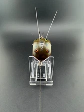 **EXTREMELY RARE ** Vintage Creek Chub Frog Spot Weed Bug No. 2800(Circa 1936)