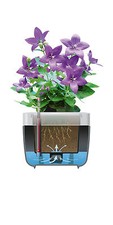 wie blumenkasten auf fensterbank befestigen Blumenkastenhalterung mit Haltebgel fr Fensterbank  ohne Bohren