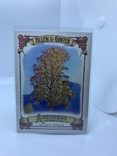2021 Topps Allen & Ginter Base 1-350 Rookies SPs Inserts Minis You Pick
