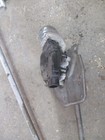 Foto 5 di 9
