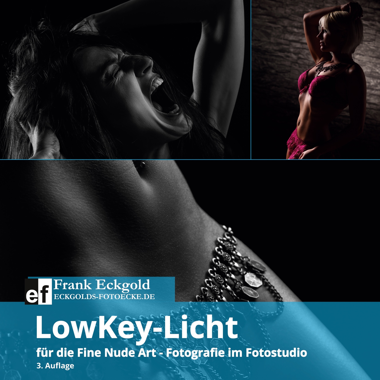 Lowkey-licht (buch)