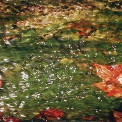 Dificil Equilibrio - Flood                                                 (neu)
