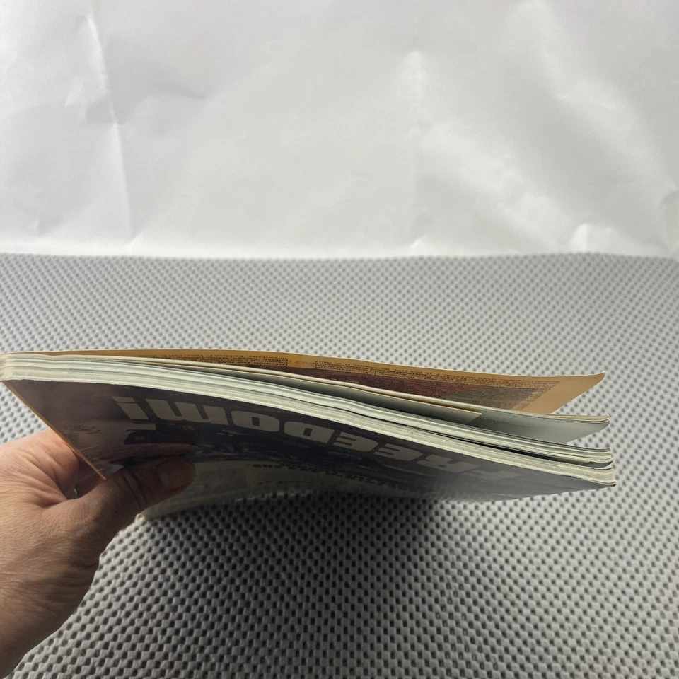 National Geographic June 1985 – Afghan Girl Cover, Great Salt Lake Feature - Image 4 of 4