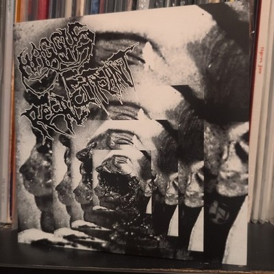 Haggus Recalcitrant Split Vinyl Dystopia Acid Bath HKFU Despise
