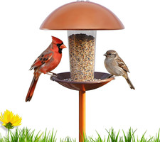 Bird Feeder with Pole Standing - Metal Outdoor Bird Feeder for Wild S
