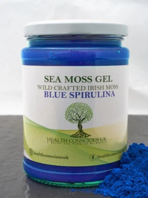HEALTH CONSCIOUS UK 100% Organic Sea Moss Gel / 500ml / Blue Spirulina Infused / Wildcrafted/drSebi