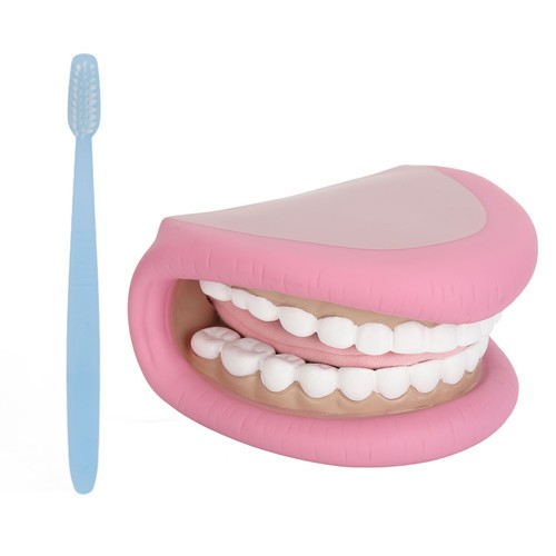 Kids Mouth Hand Puppet 28 Teeth Tongue Mouth Puppet With Toothbrush - Photo 11/22
