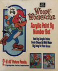 New ListingVtg 1976 Craft Master Woody Woodpecker Acrylic Paint by Number Set