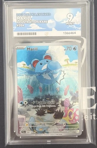 Pokémon TCG Marill 204/193 Sv02 Paldea Evolved Illustration Rare Holo EN Ace 9