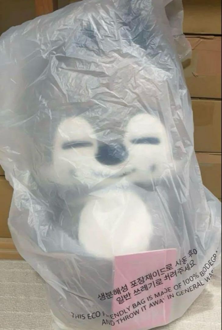 straykids チャンビン　クッション Amazon｜BRED Straykids U字型枕 ストレイキッズ ネッククッション