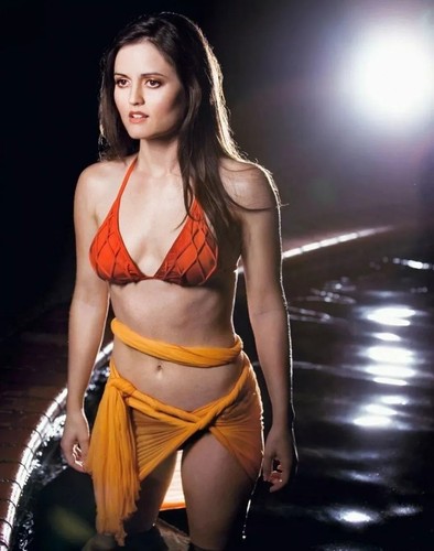 Danica McKellar posiert im Bikini 4x6 FOTODRUCK - Bild 1 von 1