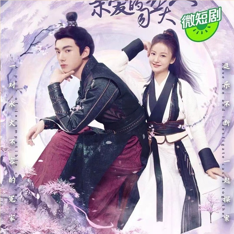 Chinese Drama TV marry me my evil lord DVD/disc Chinese Sub