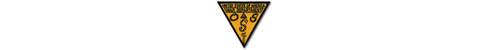 Insignia de repos de la Oficina de Servicios Estratégicos (OSS) del Ejército de Capa y Daga de la Segunda Guerra Mundial - Imagen 6 de 6