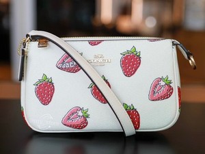 ポップなフルーツ柄♪【COACH】IDケース 定期入れ キーリング付 Coach Fruit | eBay