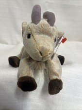 Ty Beanie Baby Goatee the Goat DOB November 4, 1998 MWMT