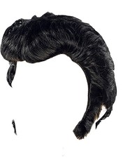 City Costume Wigs Black Elvis Wig With Sideburns 1 Count Pack of 1 , black
