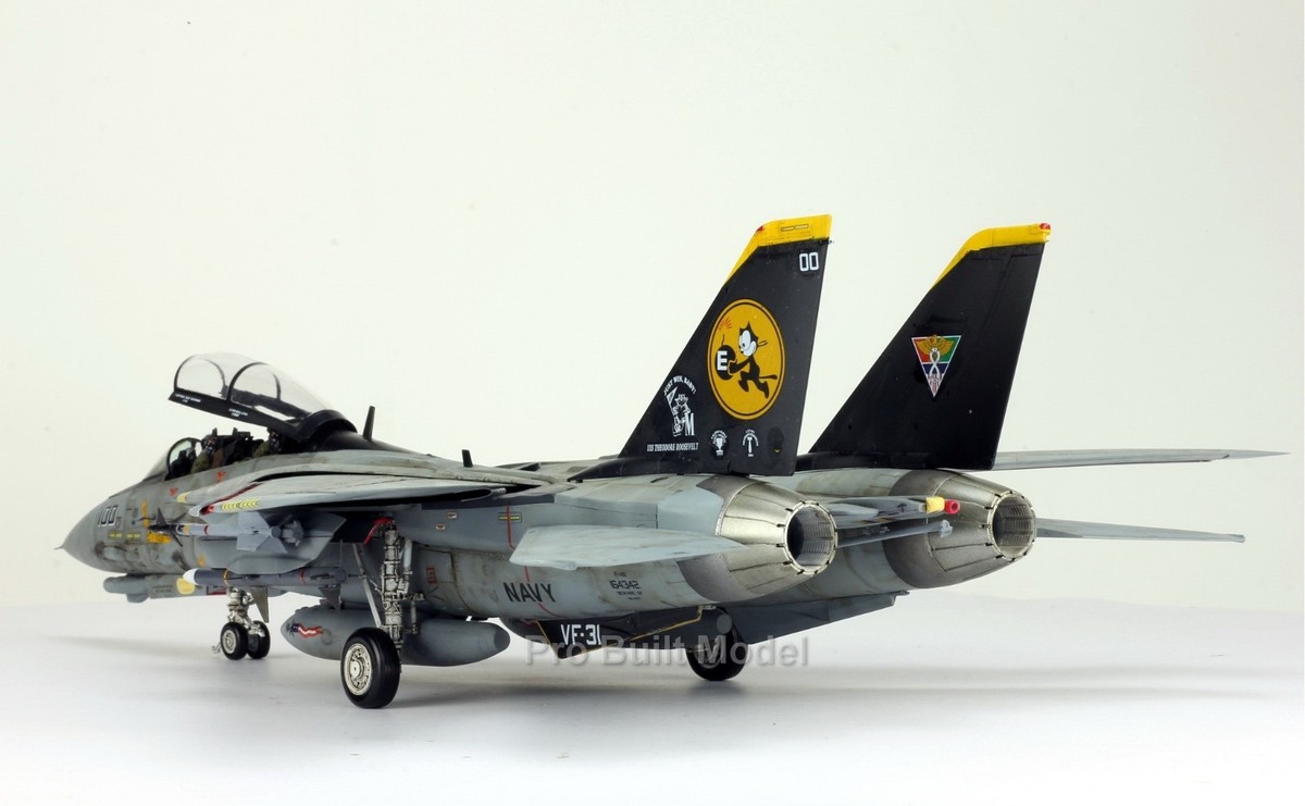 PreOrder 1/48 F-14D Tomcat VF-31 w/ Pilots ProBuilt GWH Model | eBay