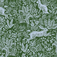 LIMITED QUANTITY Rifle Paper GREEN FABLE Rifle Paper Co Fabric, Rifle Paper Co