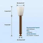 Bild 31 von 33