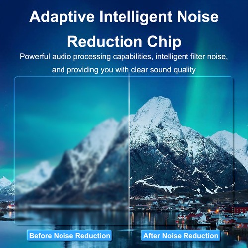 Digital Hear Aids 16 Channel Noise Cancelling Severe Loss Sound Amplifiers NT fd - Picture 3 of 17