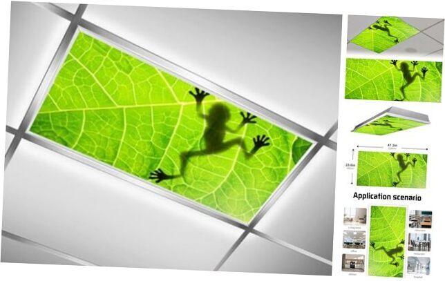 2 Pack Fluorescent Light Cover for Ceiling Light, Funny Frog Magnetic Color-3