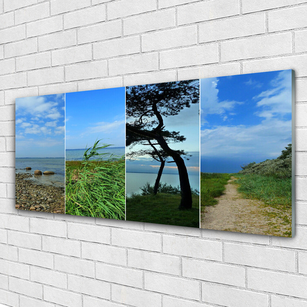 Impression sous verre Tulup 125x50 avec sentier de plage pour chambre