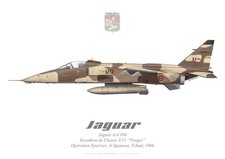 Print SEPECAT Jaguar A, EC 2/11 "Vosges", French Air Force (par G. Marie)
