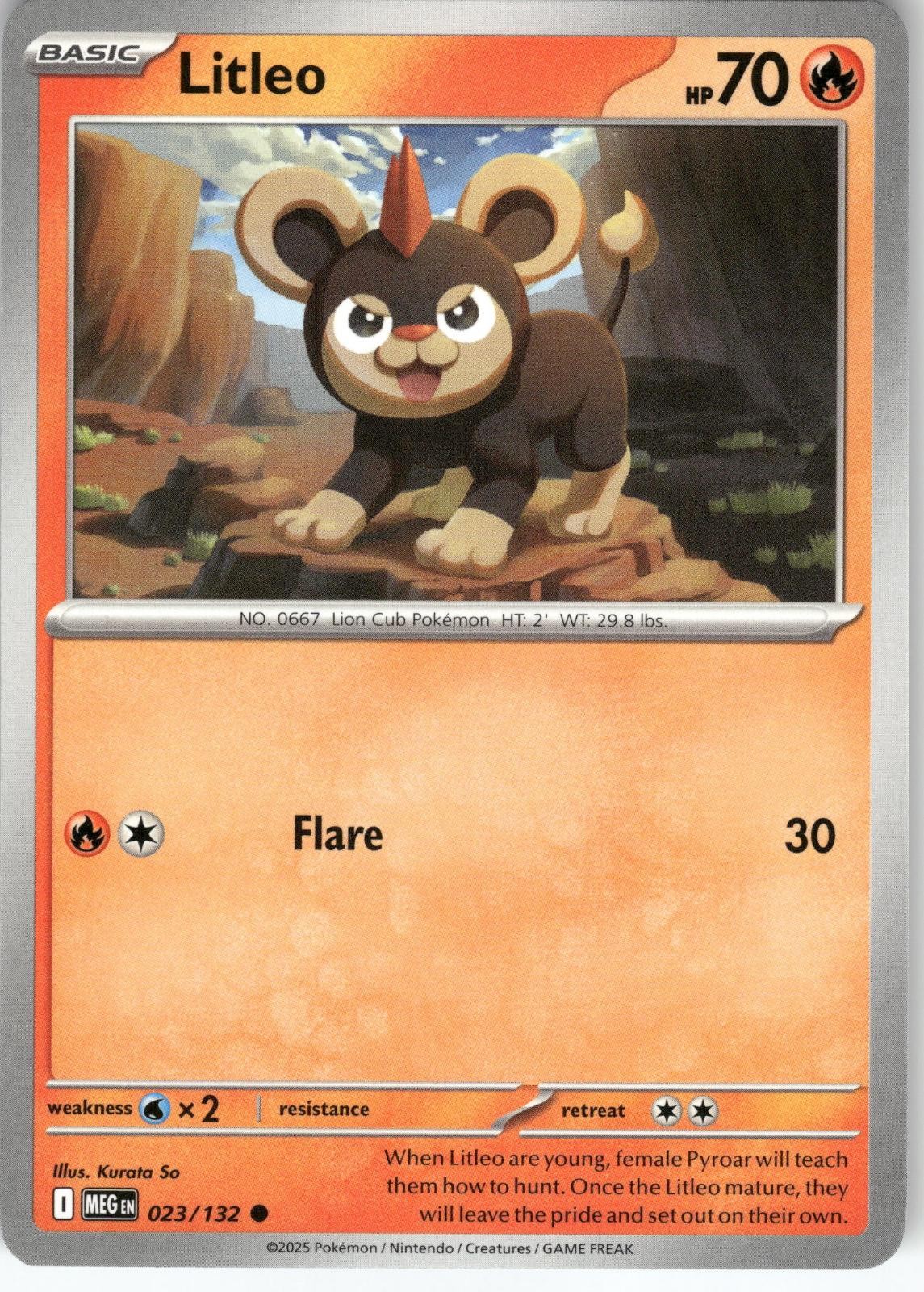 Litleo 023/132 Common Mega Evolution Pokemon Near Mint ME01