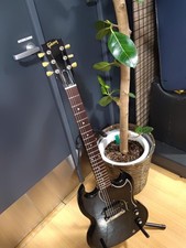 GIBSON SGJ-6EBCH1 Electric Guitar