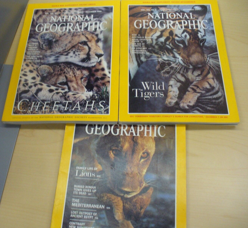 National Geographic 3 BIG CAT ISSUES DEC 1982, DEC  1997, DEC 1999