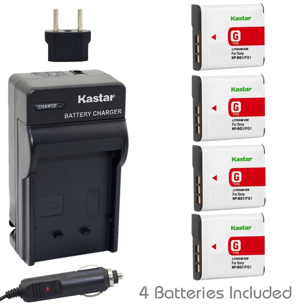 NP-BG1 Battery or Charger for Sony CyberShot DSC-W120 DSC