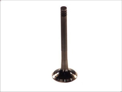 PARADOWSCY PVWG028-A-0-N Exhaust Valve for Audi A6 C4 (4A2) 1.9 1994-1997