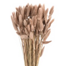 120pcs Natural Bunny Tails Dried Flowers 17" Mini Grass, Brown