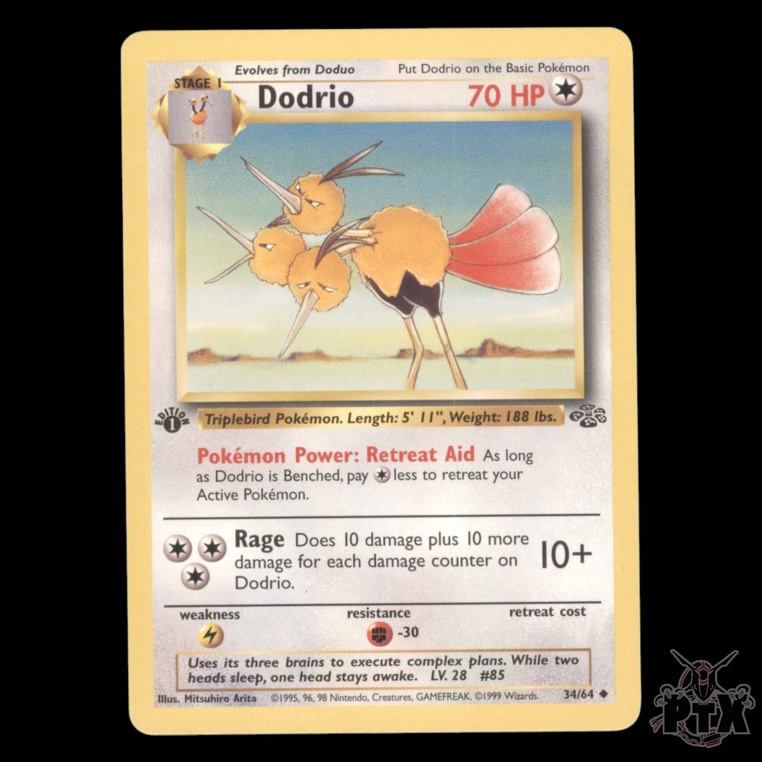 Dodrio #34/64 1st Edition Jungle NM/Near Mint Pokemon 1999