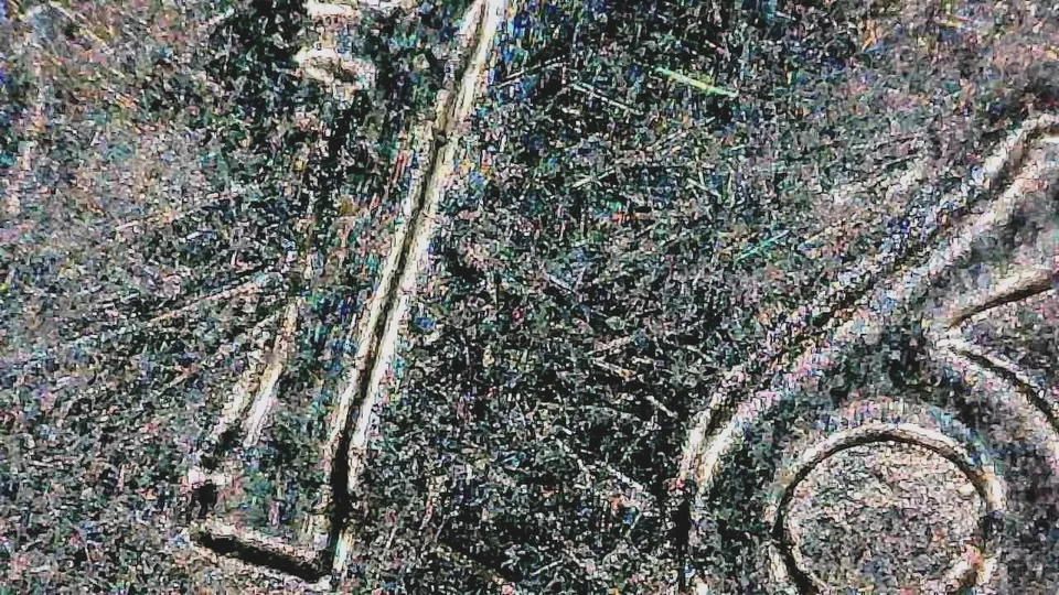 2016 D - S. Carolina-Fort Moultrie Multiple Errors DDO/DDR And More - Image 4 of 4