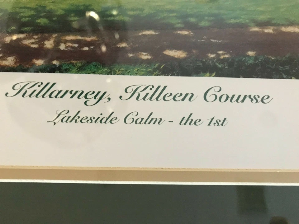 CHRISTY O CONNOR JR John McNulty Killarney Killeen Curso Firmado 326/450 Impresión Foto 3 de 4